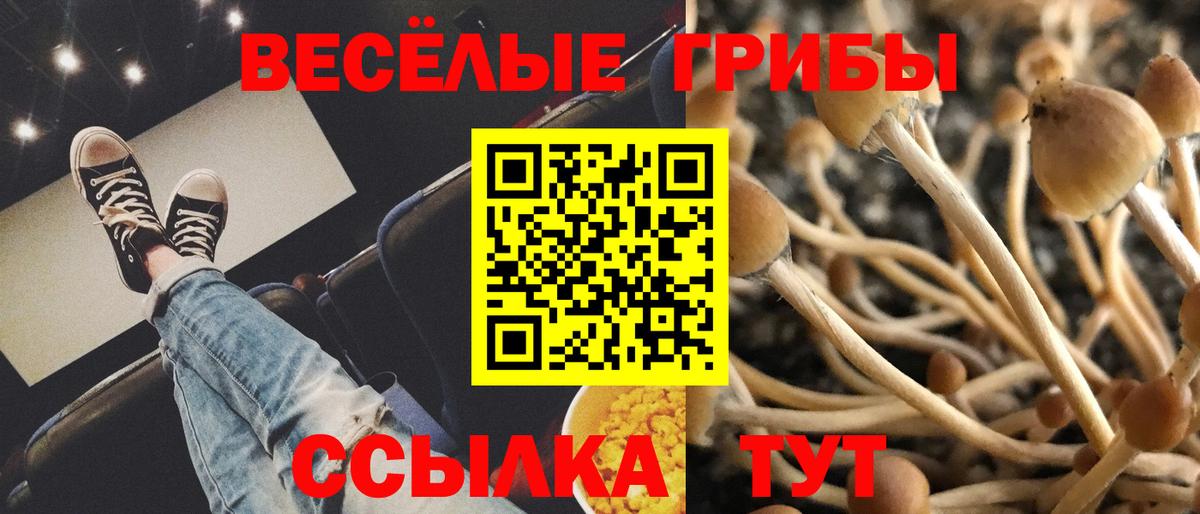 Псилоцибиновые грибы мицелий Урай
